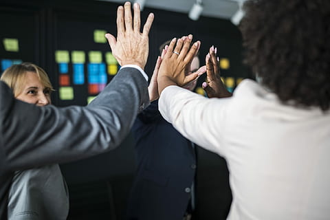 man, black, suit jacket, team, hand, high five, teamwork, fun, joy, bokeh, meeting, person, work, woman, unity, togetherness, team building, support, success, strategy, smiling, power, plan, rear view, human body part, adult, group of people, body part, human arm, arms raised, business person, businessman, women, human hand, men, human limb, business, limb, businesswoman, communication, females, people, hand raised, over the shoulder view, coworker, 1080P, CC0, public domain, royalty free
