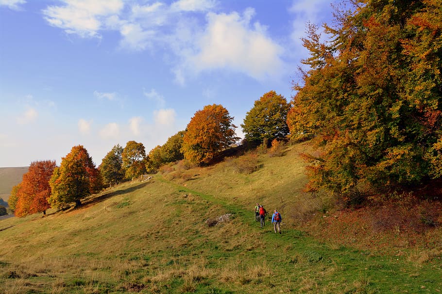 excursió, arbres, tardor, ruta, muntanya, el camí europeu, e5, lessinia, Itàlia, planta, cel, bellesa a la natura, activitat d'oci, arbre, persones reals, naturalesa, estils de vida, escena no urbana, escenics - natura, dia, núvol - cel, grup de persones, caminar, homes, senderisme, activitat, gent, canvi, a l'aire lliure, 5K