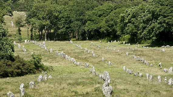 carnac, vyrovnání, brittany, rostlina, strom, zelená barva, den, nikdo, růst, Příroda, přistát, pole, krása v přírodě, klid, mimoměstské scény, krajina, klidné scény, životní prostředí, tráva, scenics - příroda, venku, zvíře, pevný, 4K, CC0, veřejná doména, bez autorských práv