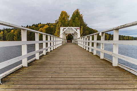 brug, natuur, boom, architectuur, houten, eiland, brugleuning, de structuur van, meer, de weg vooruit, traliewerk, richting, ingebouwde structuur, hemel, fabriek, water, hout - materiaal, verbinding, wolk - lucht, brug - door de mens gemaakte structuur, dag, geen mensen, perspectief verminderen, voetbrug, schoonheid in de natuur, buitenshuis, houten lambrisering, 5K, CC0, publiek domein, royaltyvrij