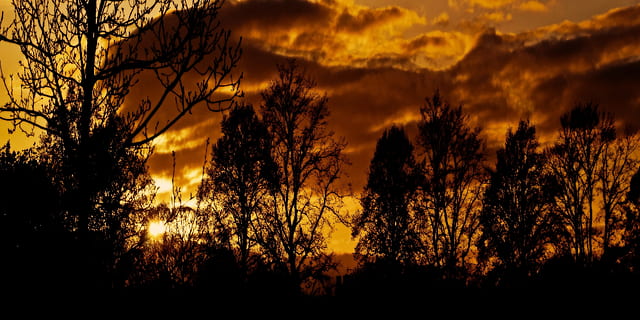 africà, posta de sol, arbre, naturalesa, arbres, nit, temporades, fons, silueta, incendi forestal, cap gent, a l'aire lliure, cel, bellesa a la natura, planta, núvol - cel, color taronja, escenics - natura, cel dramàtic, sol, retroil·luminat, tranquil·litat, escena tranquil·la, groc, escena no urbana, llum solar, fosc, 4K, CC0, domini públic, lliure de regalies
