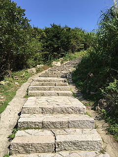Markieren, Berg, Baum, Zhoushan, Pflanze, Fußweg, Natur, Wachstum, Richtung, der Weg nach vorn, keine Leute, solide, Tag, Sonnenlicht, Treppe, grüne Farbe, Himmel, draußen, Rock, Schönheit in der Natur, Stein - Objekt, Ruhe, in einer Reihe, Gartenweg, 2K, CC0, gemeinfrei, lizenzfrei
