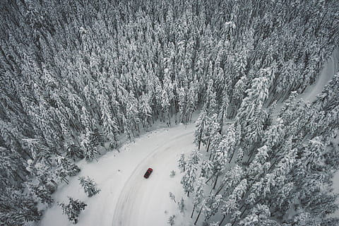 fågel, ögonvyn foto, röd, bil, böjd, väg, omgiven, träd, snö, vinter-, vit, kall, väder, is, växter, natur, resa, äventyr, fordon, transport, trän, skog, kall temperatur, dag, utomhus, kurva, inget folk, berg, växt, landa, skönhet i naturen, sport, högvinkelvy, scenics - natur, miljö, vintersport, extremt väder, snöar, barrträd, häftig snöstorm, snötäckt berg, 4K, CC0, offentligt domän, royaltyfria