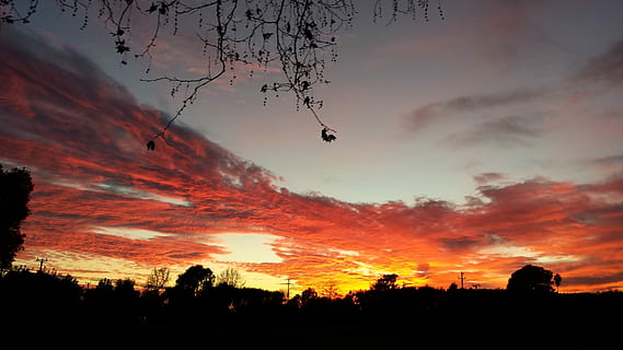 puesta de sol, cielo Rojo, nubes, noche, cielo, silueta, nube - cielo, nadie, naturaleza, belleza en la naturaleza, árbol, planta, paisajes - naturaleza, color naranja, escena tranquila, tranquilidad, paisaje, cielo dramático, ambiente, idílico, escena no urbana, volador, tierra, al aire libre, 4K, CC0, dominio público, libre de derechos