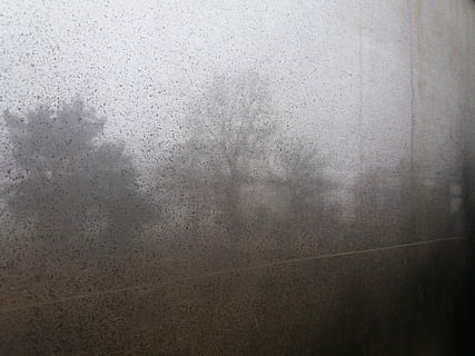 Baum Schattenwurf, Weiß, Wand, Fenster, schmutzig, Glas, Baum, Wald, texturiert, Hintergründe, keine Leute, Struktureffekt, Muster, drinnen, Nebel, Vollbild, grau, abstrakt, nass, Wandbau - Funktion, Nahansicht, Glas - Material, Wasser, Geheimnis, Natur, befleckt, Beton, 4K, CC0, gemeinfrei, lizenzfrei