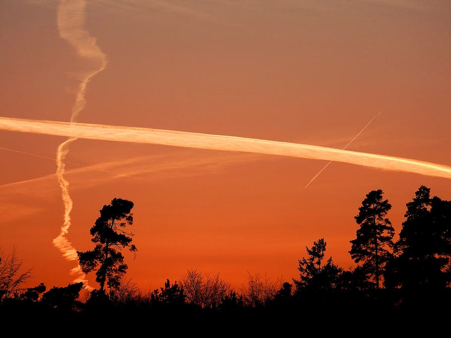 cielo, nuvole, giorno, blu, paesaggio, umore, cotone, soffice, vapore, impressione, girandola, energia, natura, ultimi bagliori, Alba, tramonto, albero, foresta, crepuscolo, silhouette, nessuno, Paesaggi, all'aperto, pianta, scena rurale, nuvola - cielo, bellezza nella natura, scenics - natura, scia di vapore, colore arancione, la tranquillità, scena tranquilla, crescita, Inquadratura dal basso, ambiente, inquinamento, 4K