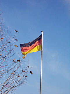 bendera, tiang bendera, bendera Jerman, langit, biru, patriotisme, tampilan sudut rendah, alam, angin, tiang, lingkungan Hidup, tidak ada orang, hari, menyalin ruang, langit cerah, melambai, emosi, di luar rumah, kebanggaan, bergaris, 2K, CC0, domain publik, bebas royalti