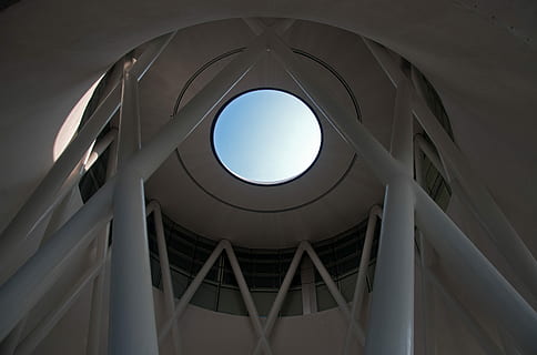 museo di artscience, Singapore, fotografia ad angolo basso, bianca, costruzione, interno, soffitto, architettura, design, cielo, struttura costruita, forma geometrica, cerchio, forma, Inquadratura dal basso, esterno dell'edificio, nessuno, natura, giorno, finestra, all'aperto, moderno, luce del sole, caratteristica architettonica, città, direttamente sotto, 4K, CC0, dominio pubblico, privo di copyright