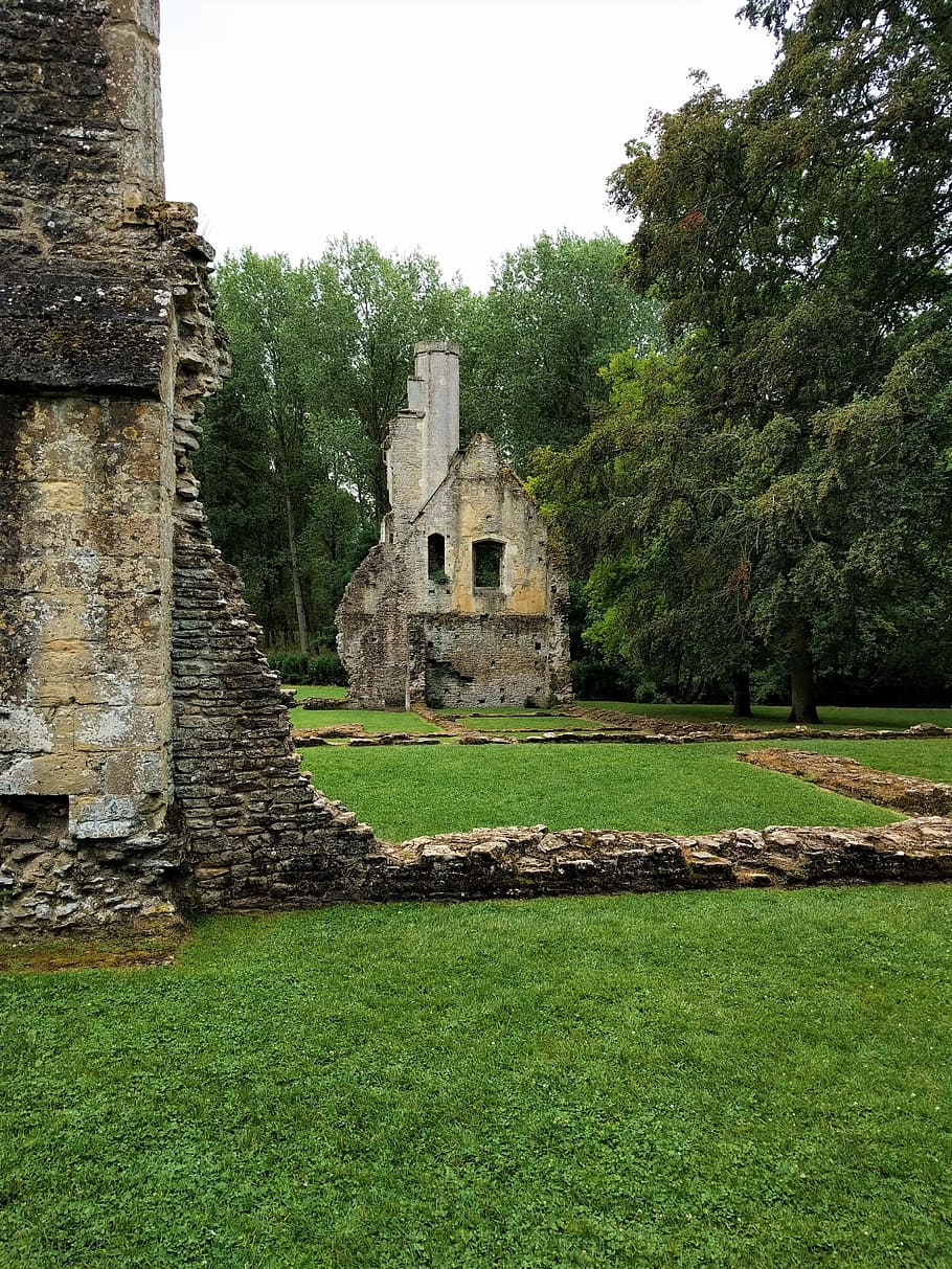 hormigón, ruinas del edificio, arboles, torre, amor, ruina, antiguo, lozano, verde, piedra, Envejecido, arquitectura, estructura construida, planta, árbol, exterior del edificio, hierba, historia, color verde, el pasado, naturaleza, día, edificio, nadie, cielo, tierra, vieja ruina, crecimiento, campo, al aire libre, Pared de piedra, arruinado, civilización antigua, 4K