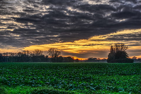 zonsondergang, wolken, humeur, drama, veld-, groen, natuur, landschap, hemel, abendstimmung, avondlucht, avond, zon, nagloed, avondstemming, gerapporteerd, verlichting, schemering, hdr, hoge dynamische afstand, wolk - lucht, schoonheid in de natuur, scenics - natuur, fabriek, rustige scène, kalmte, milieu, land-, groei, landelijke scène, geen mensen, boom, groene kleur, idyllisch, buitenshuis, 5K, CC0, publiek domein, royaltyvrij