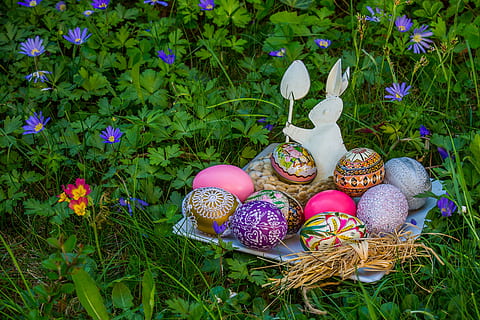 Osterei, Dekor, Ostern, Ei, Osterdeko, Frohe Ostern, Osterthema, Kulturen, Gras, Feier, Tradition, Pflanze, Urlaub, blühende Pflanze, Blume, Natur, Lebensmittel, Kunst und Handwerk, keine Leute, grüne Farbe, mehrfarbig, Dekoration, Essen und Trinken, Schönheit in der Natur, Tag, Zerbrechlichkeit, Frühling, draußen, Blütenkopf, lila, 4K, CC0, gemeinfrei, lizenzfrei