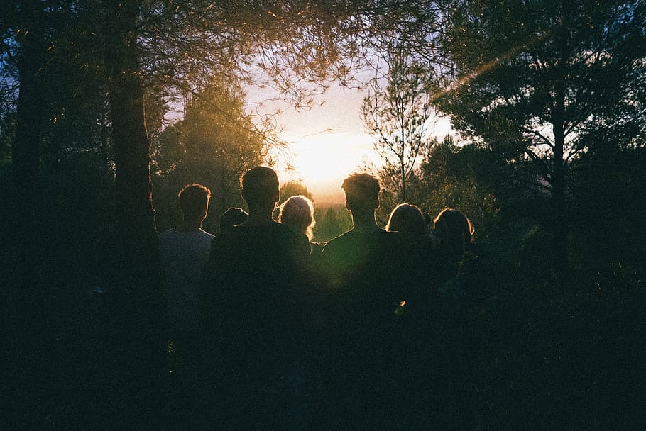 flere, mennesker, ser, solopgang, midten, Skov, silhuetfotografi, gruppe, træer, menneskemængde, venner, solnedgang, træ, ven, person, korn, familie, natur, smuk, focu, plante, rigtige mennesker, gruppe af mennesker, Kvinder, herrer, voksen, livsstil, samvær, medium gruppe af mennesker, begivenhed, fritidsaktivitet, sollys, himmel, emotion, udendørs, linseflare, 4K