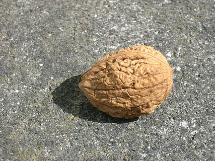 non ouvert, fruit, noyer, noix, fruits, les plantes, flore, la nature, plage, fermer, vue grand angle, personne, texturé, journée, marron, objet unique, Nourriture et boisson, nature morte, lumière du soleil, aliments, en plein air, écrou, solide, rugueux, terre, Roche, se concentrer sur le premier plan, 1080P, CC0, domaine public, libre de droits