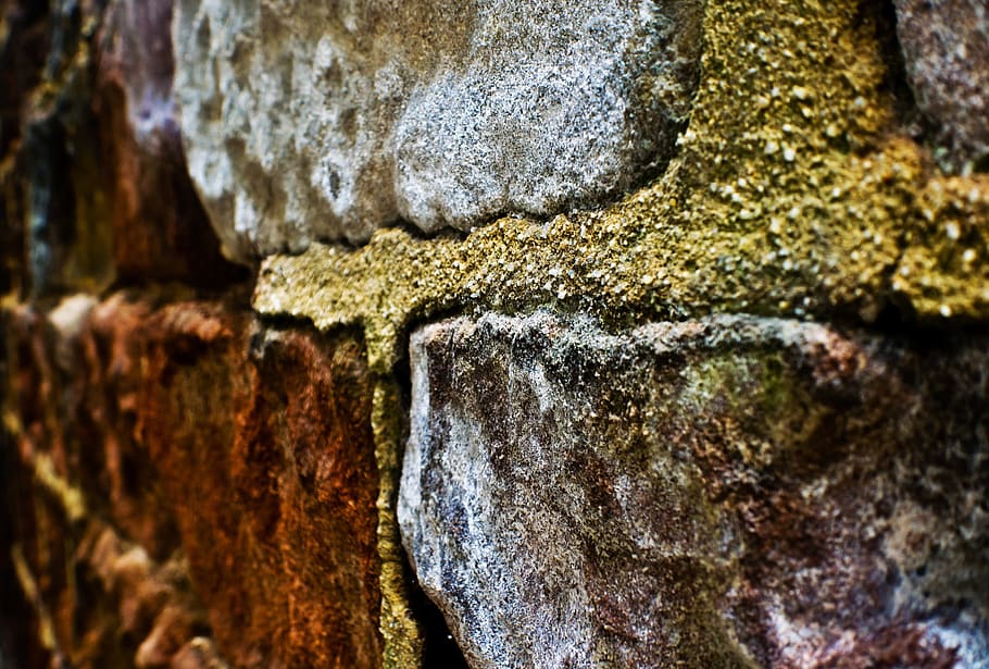 paret, maó, arquitectura, macro, rock, gres, funció de construcció de parets, fons, material de pedra, vell, patró, rock - object, textura, exterior de l'edifici, pedra - objecte, primer pla, naturalesa, cap gent, aspre, dia, a l'aire lliure, marc complet, enfocament selectiu, sòlid, centrar-se en primer pla, arbre, resistent, tronc de l'arbre, marró, escorça, paret de pedra, efecte texturat, liquen, 2K