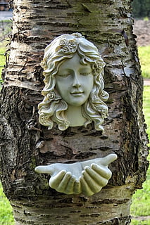 træ, fuglebad, figur, statue, skulptur, religion, ingen mennesker, bagagerum, plante, dag, tæt på, træstamme, repræsentation, menneskelig repræsentation, kreativitet, Kunst og håndværk, fokus på forgrunden, natur, udendørs, håndværk, mandlig lighed, carving - håndværk produkt, træ - materiale, 4K, CC0, offentligt domæne, royaltyfrie