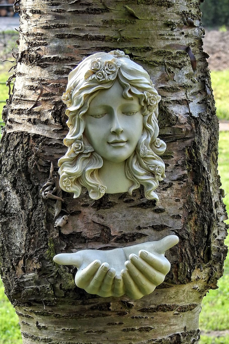 træ, fuglebad, figur, statue, skulptur, religion, ingen mennesker, bagagerum, plante, dag, tæt på, træstamme, repræsentation, menneskelig repræsentation, kreativitet, Kunst og håndværk, fokus på forgrunden, natur, udendørs, håndværk, mandlig lighed, carving - håndværk produkt, træ - materiale, 4K