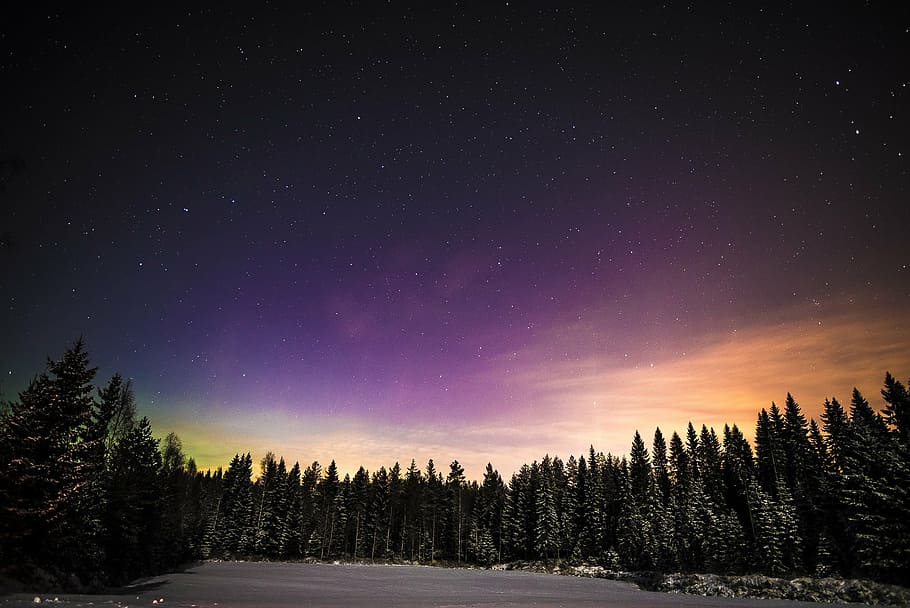 borovice, severní, světlo, aurora, zimní, noc, studená teplota, sníh, strom, Příroda, klidné scény, scén, krajina, krása v přírodě, klid, scenics - příroda, rostlina, nebe, astronomie, hvězda - prostor, mimoměstské scény, idylický, prostor, nikdo, životní prostředí, 1080P