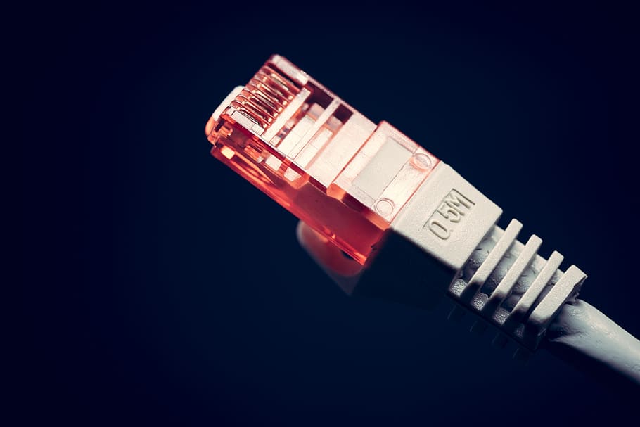 blanc, 0,5 m, Cable ethernet de 0,5 m, gat, comunicació, ordinador, 5, ethernet, xarxa, creació de xarxes, cable, ample de banda, banda ampla, connectar, connexió, connector, dades, Internet, tecnologia, telecomunicacions, equipament, primer pla, xarxa d’ordinadors, endoll de connexió de xarxa, cable d’ordinador, tecnologia sense fils, fons negre, tir de l'estudi, cap gent, vermell, a l'interior, negocis, salut i medicina, fons de colors, equips informàtics, comunicacions globals, 5K