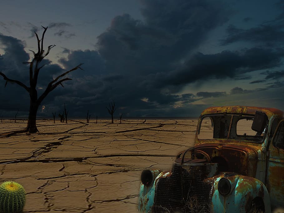 rovellat, vehicle, arbre, ennuvolat, cel, desert, núvols, humor, fi del temps, desastre, apocalipsi, la fi del món, col·lapse, endavant, Armageddon, núvol - cel, transport, manera de transport, naturalesa, vehicle terrestre, persones reals, terra, vista del darrere, cotxe, escenics - natura, automòbil, dones, estils de vida, gent, a l'aire lliure, camp, posta de sol, medi ambient, clima àrid, 1080P