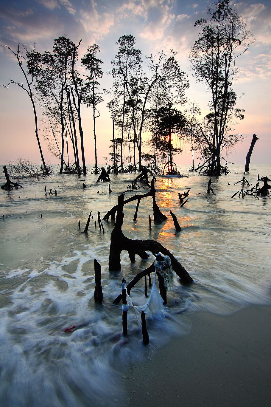 morze, świt, krajobraz, Natura, plaża, chmury, ocean, na dworze, odbicie, piasek, pejzaż morski, pobrzeże, sylwetka, niebo, słońce, światło słoneczne, zachód słońca, drzewa, zmierzch, woda, fale, grupa zwierząt, drzewo, zwierzęta na wolności, tematy zwierzęce, kręgowiec, zwierzęca przyroda, ptak, zwierzę, piękno natury, żadnych ludzi, duża grupa zwierząt, chmura - niebo, roślina, jezioro, stado ptaków, 2K