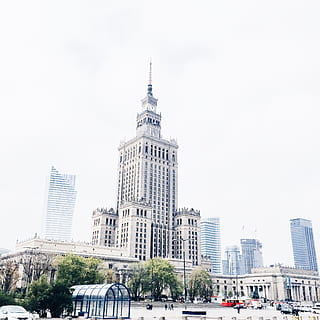 Turmuhr Gebäude, Weiß, Beton, Hochhaus, Gebäude, Himmel, tagsüber, Baum, die Architektur, Wolkenkratzer, städtische Szene, Gebäudehülle, Stadt, gebaute Struktur, Stadtbild, berühmter Platz, Turm, Bürogebäude, städtische Skyline, Vereinigte Staaten von Amerika, Tag, Stadt leben, Innenstadt, draußen, Architektur und Gebäude, Geschäft, große Höhe, Bürogebäude außen, Transport, Natur, Büro, Transportmittel, Auto, Reiseziele, Reise, keine Leute, modern, Finanzviertel, 1080P, CC0, gemeinfrei, lizenzfrei