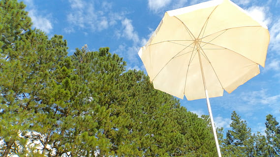 CEU, strand, sol, grøn, træ, lav vinkel visning, himmel, natur, sky - himmel, sommer, plante, beskyttelse, paraply, sikkerhed, blå, dag, udendørs, ingen mennesker, grøn farve, miljø, Skov, skønhed i naturen, ro, sollys, 4K, CC0, offentligt domæne, royaltyfrie