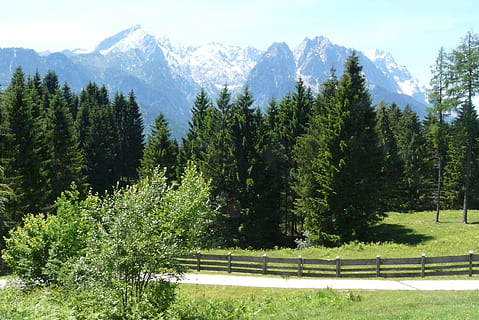 alpine, eng, landskap, tre, fjell, anlegg, skjønnhet i naturen, vekst, rolig scene, ro, grønn farge, naturskjønnhet - natur, ikke-urbane scene, ingen folk, natur, himmel, dag, land, snø, idylliske, vinter, fjellkjede, utendørs, snødekte fjell, nåletre, 2K, CC0, offentlig domene, opphavsrett gratis