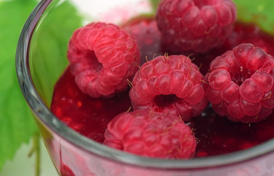 gerds, melmelada de gerds, melmelada, cuinar, cuina de melmelada, casolà, deliciós, dolç, fresc, afruitat, pressupost, vermell, fer una, pot de melmelada, saludable, vermell de baies, collit, baia, menjar i beguda, menjar, alimentació saludable, fruita, fruites de baies, frescor, benestar, primer pla, cap gent, contenidor, refresc, vidre, copa, natura morta, equipament per a la llar, naturalesa, sucós, bol, madur, antioxidant, 5K