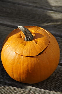 dovleac, portocale, dovleci, luminos, toamnă, toamna decor, sezonier, decorativ, decor, mulțumire, Halloween, Halloween kuerbis, dovada de dovleac, lemn - material, culoare portocalie, nici o persoana, mancare si bautura, alimente, mâncat sănătos, vegetal, masa, a închide, prospeţime, bunăstare, natură moartă, să se concentreze asupra primelor elemente, celebrare, un singur obiect, în interior, natură, 5K, CC0, domeniu public, fără drepturi de autor