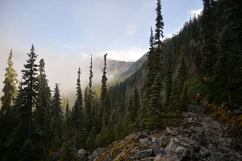 fotografi av skog, fjell, tre, skog, stein, Sky, tåke, washington, utendørs, turgåer, Pacific Crest Trail, pct, Evergreen, morgen, anlegg, land, naturskjønnhet - natur, skjønnhet i naturen, natur, miljø, himmel, sky - himmel, rolig scene, dag, ikke-urbane scene, ro, landskap, ingen folk, furutre, vekst, nåletre, eviggrønne treet, furuskog, 1080P, CC0, offentlig domene, opphavsrett gratis
