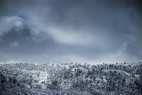 stromy, pokryté, sníh, fotografie ve stupních šedi, les, mrak, zimní, strom, Šedá, kopec, krajina, hora, Příroda, nebe, zasněžené, spojený stát, colorado spring, mrak - nebe, životní prostředí, scenics - příroda, krása v přírodě, studená teplota, rostlina, nikdo, klid, mimoměstské scény, den, klidné scény, venku, jehličnatého stromu, 5K, CC0, veřejná doména, bez autorských práv