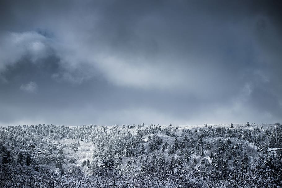stromy, pokryté, sníh, fotografie ve stupních šedi, les, mrak, zimní, strom, Šedá, kopec, krajina, hora, Příroda, nebe, zasněžené, spojený stát, colorado spring, mrak - nebe, životní prostředí, scenics - příroda, krása v přírodě, studená teplota, rostlina, nikdo, klid, mimoměstské scény, den, klidné scény, venku, jehličnatého stromu, 5K