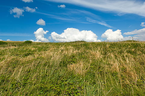 Himmel, Wolken, dramatisch, Landschaft, Gras, Hügel, grüner Vordergrund, Land, Wiese, Feld, langes Graß, Sommer-, Pflanze, wolke - himmel, Umgebung, Schönheit in der Natur, Szenen - Natur, Natur, Wachstum, Ruhe, ruhige Szene, Tag, Nicht-städtische Szene, keine Leute, grüne Farbe, Blau, Sonnenlicht, draußen, Wind, 4K, CC0, gemeinfrei, lizenzfrei