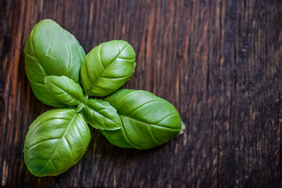 grøn, blad plante, træ, basilikum, blad, urt, mad, frisk, ingrediens, sund og rask, urte, krydderi, organisk, aromatisk, rå, basilicum, naturlig, træ-, grøn farve, mad og drikke, plante del, træ - materiale, velvære, friskhed, sund kost, tæt på, grøntsag, indendørs, bord, direkte over, ingen mennesker, rå fødevarer, stilleben, natur, trækorn, 4K