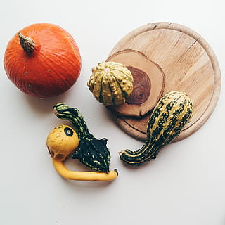 citrouilles décoratives, décoratif, citrouilles, citrouille, vue de dessus, fond blanc, aliments, légume, l'automne, biologique, fruit, prise de vue en studio, personne, à l'intérieur, fermer, Nourriture et boisson, nature morte, bien-être, fraîcheur, alimentation saine, vue grand angle, table, coupé, groupe d'objets, couleur verte, directement au-dessus, nourriture crue, 1080P, CC0, domaine public, libre de droits