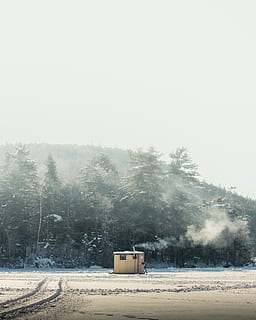 hvid, skur, omgivet, træer, hus, dag tid, kold temperatur, vinter, sne, træ, tåge, plante, himmel, natur, jord, skønhed i naturen, ingen mennesker, landskab, miljø, ro, dag, rolig scene, ikke-urbane scene, Mark, kopiere plads, udendørs, sner, 4K, CC0, offentligt domæne, royaltyfrie