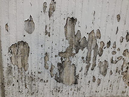 paret, textura, fons, grunge, vell, paret tacada, concret, foto, paret blanca, paret grisa, foto de regalies, imatge de regalies, resistent, brut, arquitectura, estructura construïda, cap gent, funció de construcció de parets, marc complet, espatllat, patró, primer pla, descamació, dia, pintura, aixafar, mal estat, metall, aspre, deteriorament, 4K, CC0, domini públic, lliure de regalies