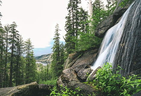 cascades properes als arbres, cascada, envoltat, arbres, paisatge, arbre, bosc, desert, planta, escenics - natura, bellesa a la natura, aigua, terra, exposició llarga, moviment, naturalesa, creixement, rock, rock - object, sòlid, dia, escena no urbana, color verd, moviment borrós, aigua que flueix, cap gent, a l'aire lliure, que flueix, formació, poder a la natura, 5K, CC0, domini públic, lliure de regalies