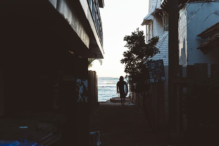 dona, caminar, cases, vora del mar, caminar entre ells, gent, a l'aire lliure, escena urbana, carrer, exterior de l'edifici, estructura construïda, silueta, dia, només adults, adult, arquitectura, persones reals, naturalesa, estils de vida, cel, longitud completa, aigua, edifici, vista del darrere, activitat d'oci, homes, planta, ciutat, arbre, carreró, 5K