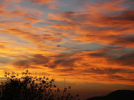 Sonnenuntergang, Himmel, Wolken, Abendhimmel, Dämmerung, Sonne, rot, bei Dämmerung, Nachglühen, wunderschönen, Stimmung, Hellrot, wolke - himmel, Schönheit in der Natur, orange Farbe, Szenen - Natur, Baum, Ruhe, ruhige Szene, Natur, Pflanze, keine Leute, Silhouette, idyllisch, Nicht-städtische Szene, draußen, Wachstum, Dramatischer Himmel, Landschaft, Umgebung, romantischer Himmel, 1080P, CC0, gemeinfrei, lizenzfrei