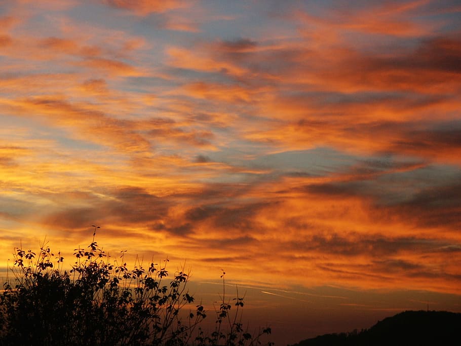 posta de sol, cel, núvols, cel de la nit, vespre, sol, vermell, al capvespre, resplendor, bonic, humor, Vermell brillant, núvol - cel, bellesa a la natura, color taronja, escenics - natura, arbre, tranquil·litat, escena tranquil·la, naturalesa, planta, cap gent, silueta, idíl·lic, escena no urbana, a l'aire lliure, creixement, cel dramàtic, paisatge, medi ambient, cel romàntic, 1080P