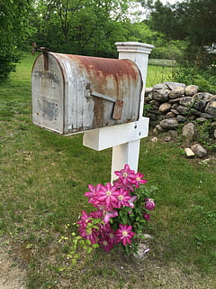 hvid, grå, rusted, postkasse, træer, post, brev, stolpe, boks, årgang, levering, porto, gammel, besked, meddelelse, sende, letterbox, Postboks, korrespondance, metal, objekt, symbol, forretning, kuvert, service, retro, skilt, traditionel, frimærke, ikon, nyheder, e-mail, design, isolerede, pakke, hjem, baggrund, udendørs, gade, postkort, kontor, væg, adresse, åben, postbud, clemetis, grafisk, vin, blomster, Vermont, Ny England, plante, græs, natur, dag, ingen mennesker, jord, blomst, blomstrende plante, vækst, Mark, skønhed i naturen, grøn farve, træ, ro, lyserød farve, foran eller baggård, solid, forladt, 2K, CC0, offentligt domæne, royaltyfrie