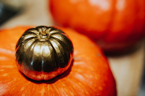 ornamental, pumpkins decorations, Golden, pumpkins, decorations, decoration, ornaments, bauble, pumpkin, autumn, halloween, orange Color, vegetable, thanksgiving, season, october, gourd, squash - Vegetable, nature, food, color Image, food and drink, close-up, healthy eating, wellbeing, fruit, freshness, no people, indoors, wood - material, focus on foreground, studio shot, ripe, agriculture, single object, 4K