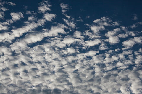 awan tipis, awan, biru, langit, bersih, cerah, indah, pagi, matahari, matahari pagi, awan - langit, keindahan di alam, scenics - alam, cloudscape, latar belakang, ketenangan, alam, adegan yang tenang, tidak ada orang, idilis, tampilan sudut rendah, lingkungan Hidup, hari, di luar rumah, warna putih, suasana, surga, angin, kelembutan, meteorologi, 4K, CC0, domain publik, bebas royalti