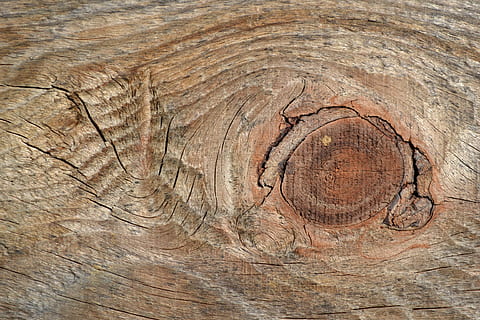 marró, fusta, fotografia de lloses, esquerdes, node, textura, material de fusta, fons, arbre, marc complet, patró, primer pla, aspre, cap gent, dia, tronc de l'arbre, gra de fusta, tronc, forma geomètrica, naturalesa, fusta nuada, patró natural, a l'aire lliure, escorça, anell d’arbre, 4K, CC0, domini públic, lliure de regalies