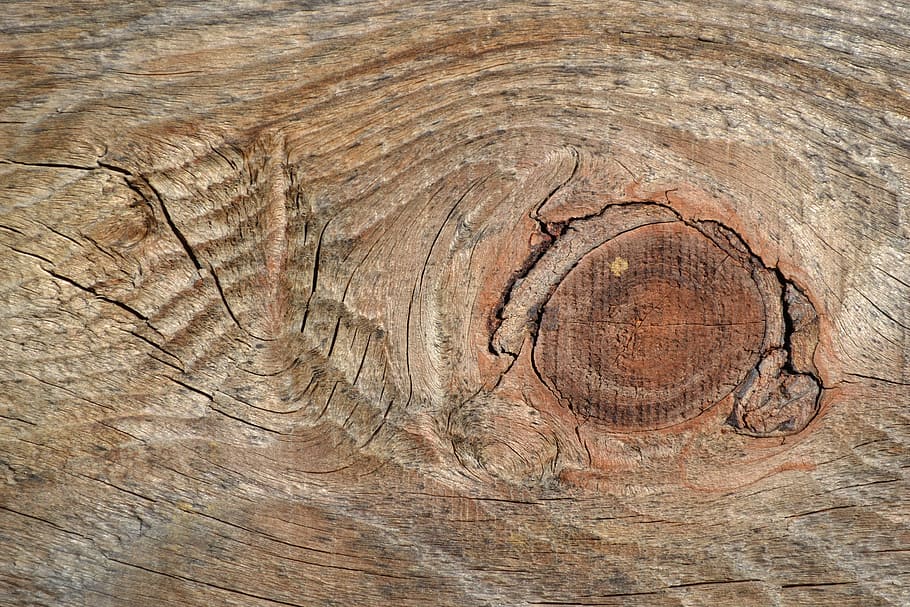 marró, fusta, fotografia de lloses, esquerdes, node, textura, material de fusta, fons, arbre, marc complet, patró, primer pla, aspre, cap gent, dia, tronc de l'arbre, gra de fusta, tronc, forma geomètrica, naturalesa, fusta nuada, patró natural, a l'aire lliure, escorça, anell d’arbre, 4K