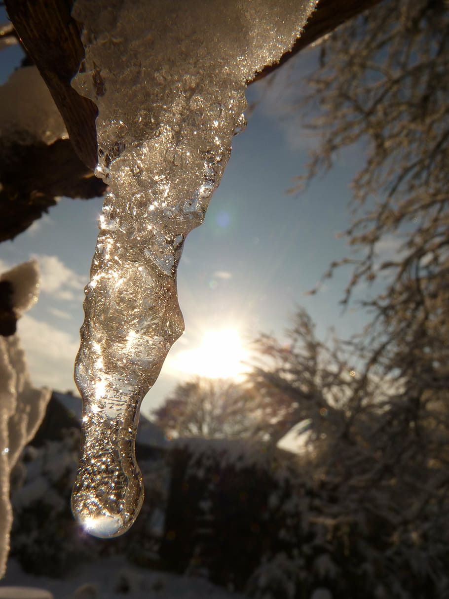 istap, is, kold, vinter, træ, kold temperatur, sol, sollys, natur, fokus på forgrunden, plante, skønhed i naturen, ingen mennesker, himmel, Frosset, tæt på, ro, solstråle, sne, afdeling, udendørs, 4K
