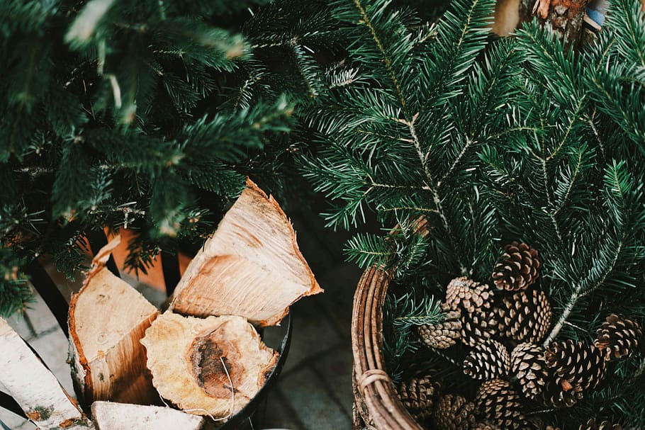 hnědé žaludy, hnědý, borovice kukuřice, zelená, listy, košík, log, borová šiška, jedle, borovice, Vánoce, slavnostní, christma, teplý, dřevo, les, strom, vánoční dekorace, rostlina, list, Příroda, nikdo, růst, rostlinné části, den, šiška, venku, dřevo - materiál, vysoký úhel pohledu, zelená barva, detail, krása v přírodě, zaměřit se na popředí, jehličnatého stromu, 5K