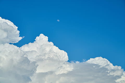 white, clouds, sky, blue, background, nature, spring, summer, blue sky, landscape, texture, season, beauty, amazing, beautiful, horizontal, weather, backgrounds, air, day, outdoors, space, climate, cloud - Sky, fluffy, heaven, cloudscape, beauty in nature, tranquility, tranquil scene, scenics - nature, no people, copy space, idyllic, white color, environment, atmosphere, softness, bright, 5K, CC0, public domain, royalty free