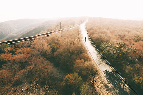 scenario, alberi forestali, persona, a piedi, strada, circondato, albero, foto aerea, grigio, strada cementata, strada tra, alberi, giorno, Diviso, forchetta, intersezione, boschi, mezzi di trasporto, natura, ferrovia, all'aperto, autostrada, viaggio, paesaggio, modalità di trasporto, traffico, nessuno, Paesaggi, scena tranquilla, pianta, montagna, direzione, la strada davanti, connessione, scenics - natura, scena non urbana, ambiente, vista dall'alto, la tranquillità, 4K, CC0, dominio pubblico, privo di copyright